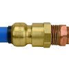 Tectite By Apollo 1/2 in. Brass Push-to-Connect x Female Pipe Thread Adapter FSBFA12